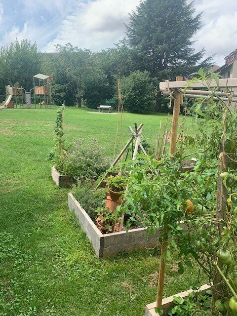 carres_potagers
